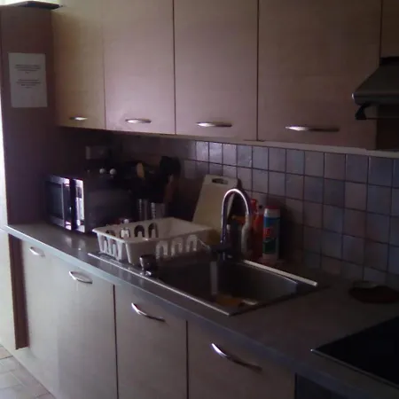 Sombang Appartement Ferney-Voltaire Buitenkant foto